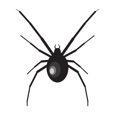 Black widow spider illustration. Spider on white background. Black widow. Spider illustration. Black widow spiderのイラスト素材