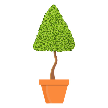 Tree in pot vector illustration.Isolated vector tree in clay potのイラスト素材