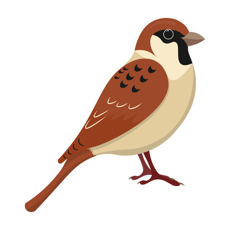 cute sparrow cartoon vector illustration. sparrow isolated vectorのイラスト素材