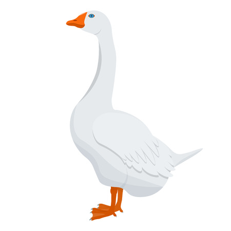 Goose illustration isolated on white backgroundのイラスト素材