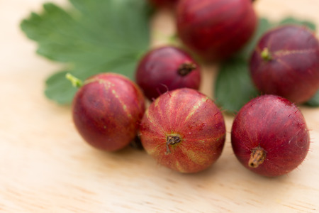 Ripe gooseberryの写真素材