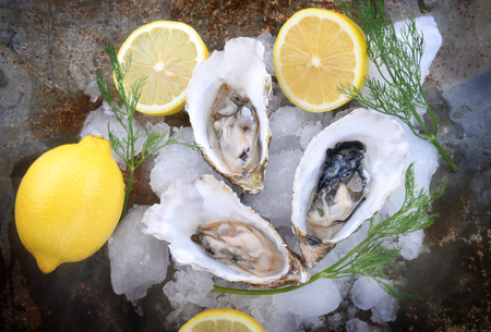 France oyster open and set with ice and lemon ready to eat fresh.の写真素材
