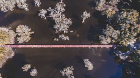 Environment of botanical garden wetland trees and dark water with sun lighting.の写真素材