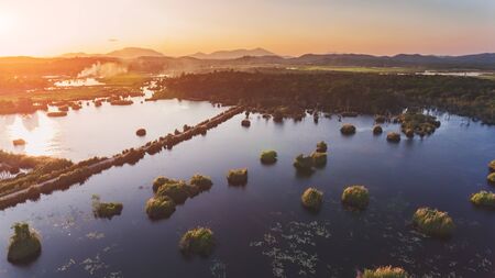 Environment of botanical garden wetland trees and dark water with sun lighting.の写真素材