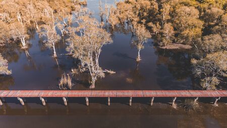Environment of botanical garden wetland trees and dark water with sun lighting.の写真素材