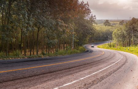 Road with trees side in autumn season with outdoor low and worm lighting and dark shadow.の写真素材