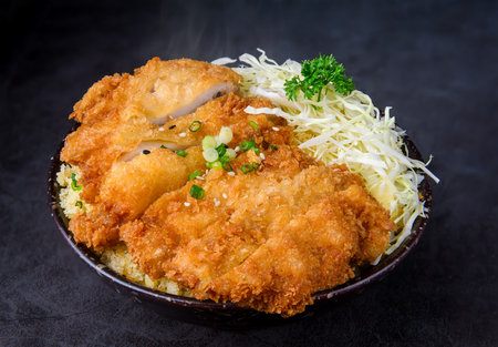 Crispy Katsu chicken with sauce, rice and cabbage with dark background.の写真素材
