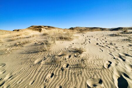Patterns of lines, waves, footprints and dry grass in nordic dunes of Curonian spit, Nida, Klaipeda, Lithuania. Desert, eternity, beauty, calm feelingの写真素材