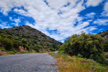 Typical beautiful landscape of Crete island, Greece. Fresh spring foliage, flowers bloom. Gravel...