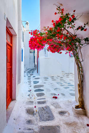 Romantic traditional alleyways of Greek island towns. Whitewashed walls, colorful doors, pink bougainvillea, cobblestone streets. Mykonos, Greeceの写真素材