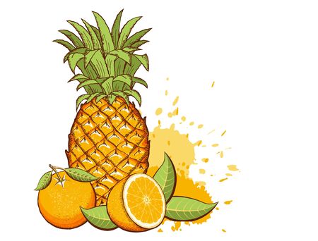 Exotic fruits. Pineapple, Oranges vector color illustration with splash isolated on white backgroundのイラスト素材