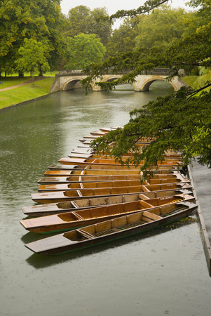 Moored Punts, Cambridge.のeditorial素材