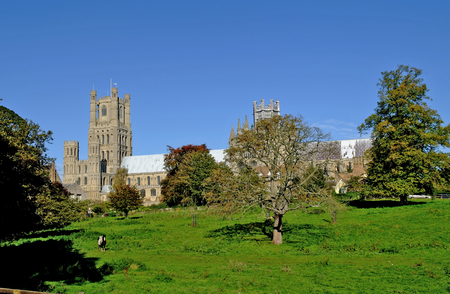 Ely Cathedral and Park.の写真素材