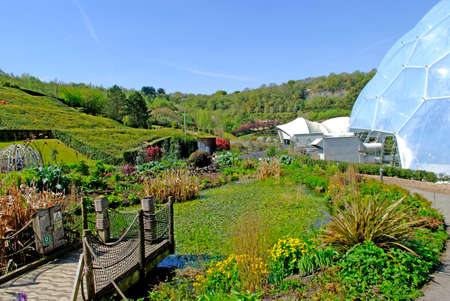 A Pond and Aquatic Plants at The Eden Project in Cornwallのeditorial素材