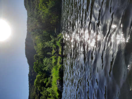 View of La Quintana Lake from the kayakの写真素材