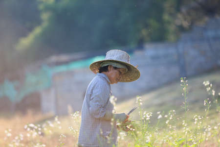 Agricultureのeditorial素材