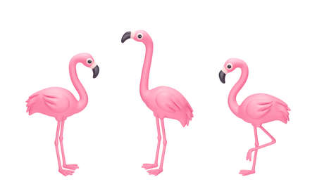 Set of cartoon pink flamingo isolated on white background. 3D rendering with clipping pathの写真素材