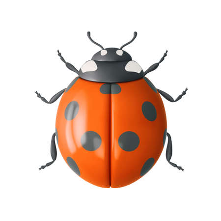 Orange ladybug isolated on white background. top view. 3D rendering