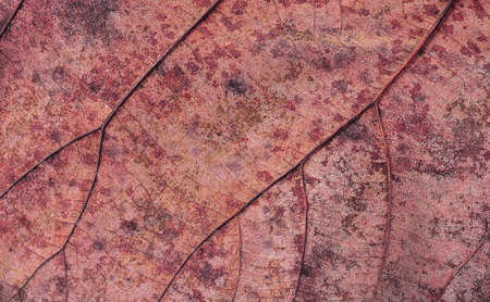 Abstract backgroundの写真素材