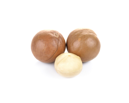 macadamia nuts on a white backgroundの写真素材