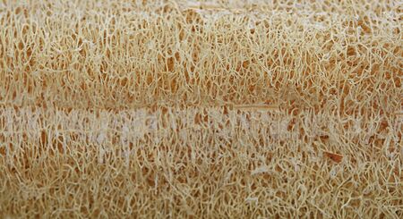 laffa fiber backgroundの写真素材