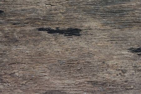 wood backgroundの写真素材