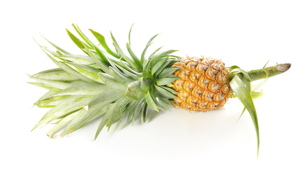 pineapple isolated on white background