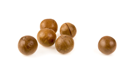macadamia nut  on a white backgroundの写真素材