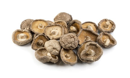 mushroom  isolated on a white background, photographyの写真素材