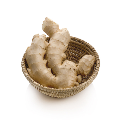 ginger isolated on a white backgroundの写真素材