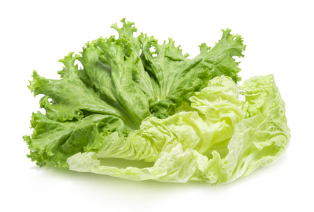vegetable isolated on a white background, photographyの写真素材