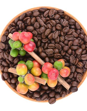 coffee bean isolated on white background, photographyの写真素材