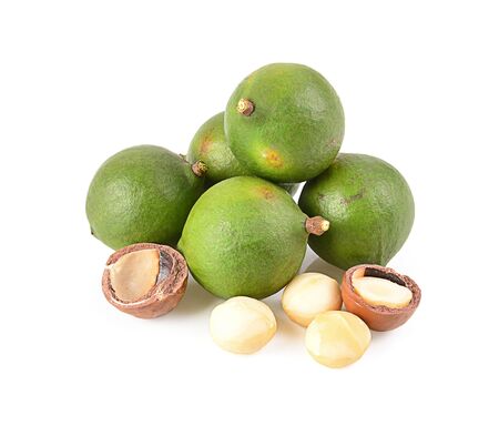 macadamia nut  on a white backgroundの写真素材