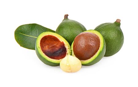 macadamia nut  on a white backgroundの写真素材