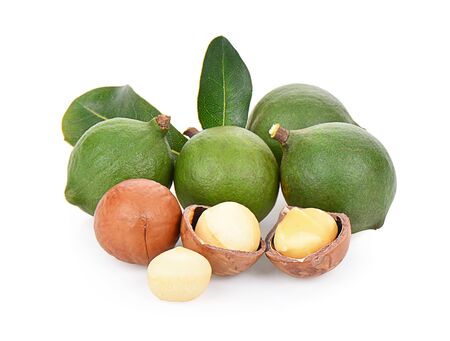 macadamia nut  on a white backgroundの写真素材