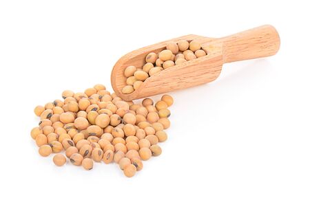 soybean isolated on a white background, photographyの写真素材