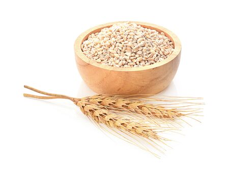 barley isolated on a white background, photographyの写真素材