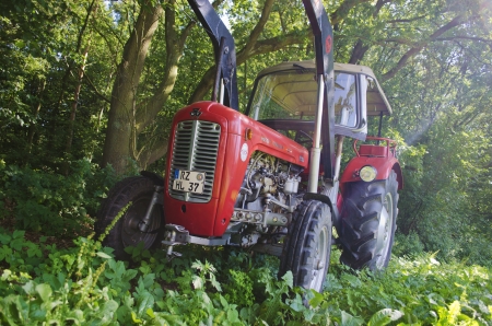 An old Massey Ferguson MF35 standing in a nature environment. のeditorial素材