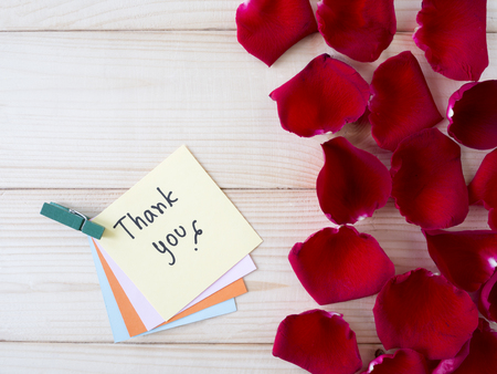 Red rose and word "Thank you" on colorful note paper with wood backgroundの写真素材