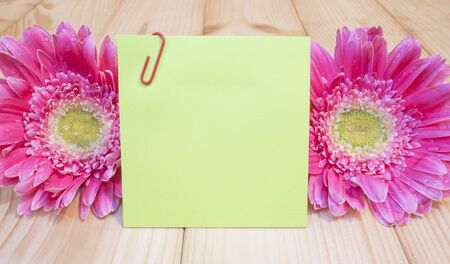 Colorful sticky note and pink flower on wood background
