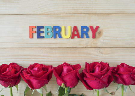 Red rose flower and word "February" on wood background, Love concept for Valentines Dayの写真素材