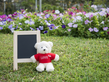 Teddy Bear and black board on grass in the garden with colorful flower background (Love concept)の写真素材