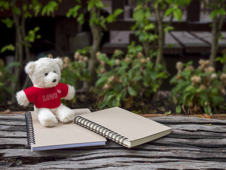 Teddy Bear and notebook on wooden bench in the garden with blur background (Love concept)の写真素材