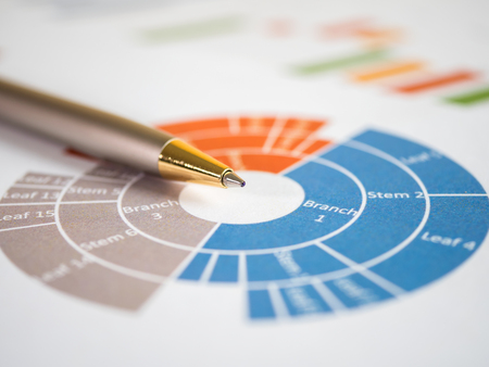 Close pen on business pie charts and graph (Selective focus)