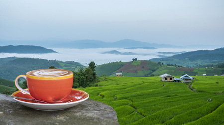 A cup of coffee on the table with view of Misty over the green paddy field / rice field fram in the morning at countryside in Chiangmai, Thailandの写真素材