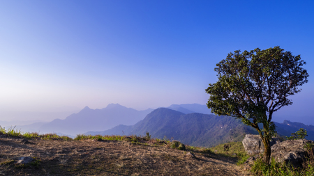 Landscape of mountain high view with big tree in the morning at Phucheefah Chiangrai, Thailandの写真素材