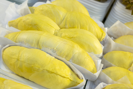 Close up fresh yellow gold of Durian king of fruits in the market at Thailand (Selective focus)の写真素材