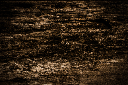 Decaying WoodBrown Textured Backgroundの写真素材