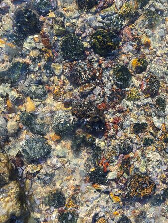 Colored pebbles under water at the coast of Mediterranean sea. Close-up backgroundの写真素材