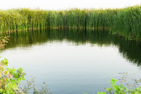 A pond, surrounded by fall trees and green grass backgroundの写真素材